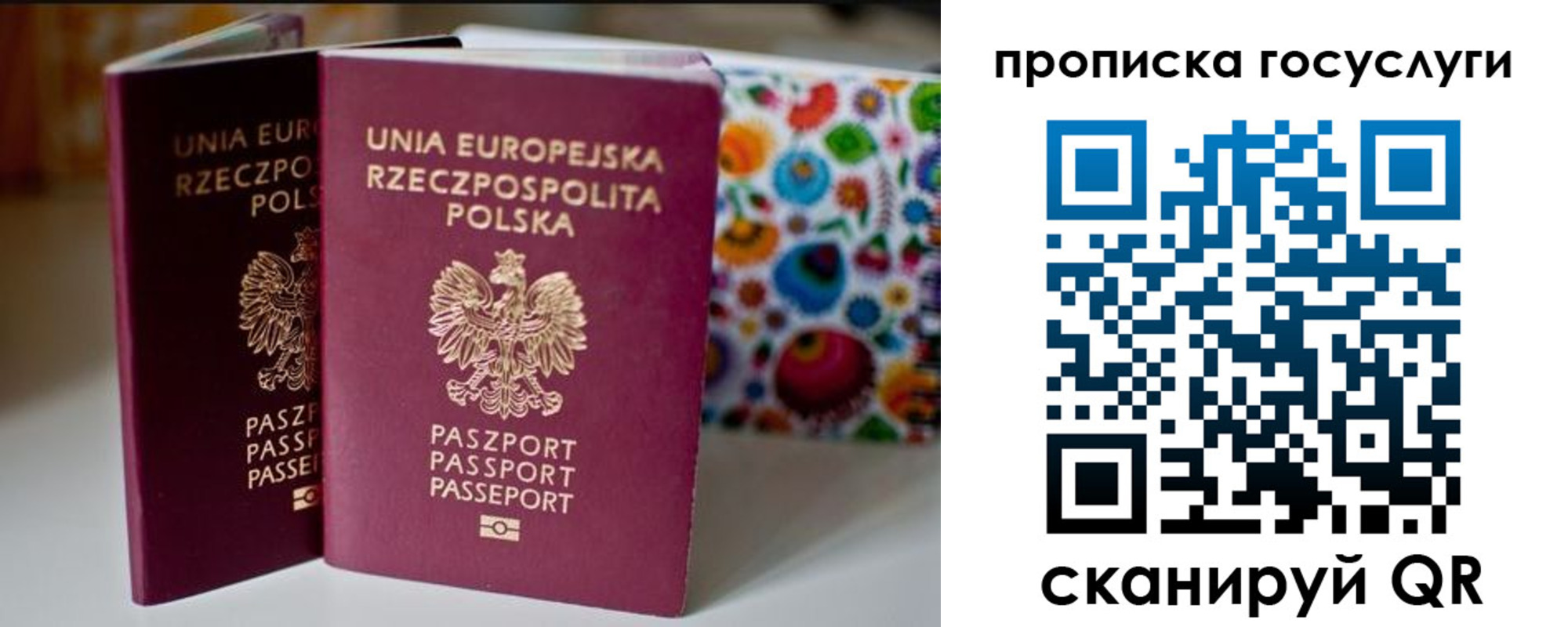 пропишу в квартире в Мурино